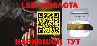 гидра Заволжье