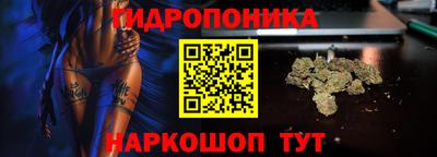 гидра Заволжье