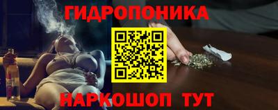 гидра Заволжье