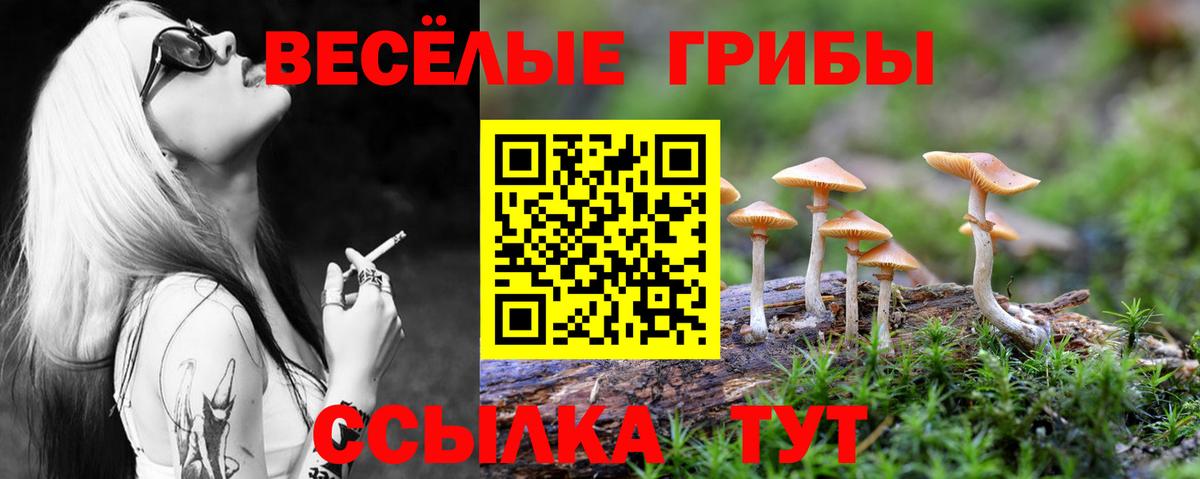 Псилоцибиновые грибы Cubensis  Вход с VPN  Ухта  Галлюциногенные грибы мухоморы 